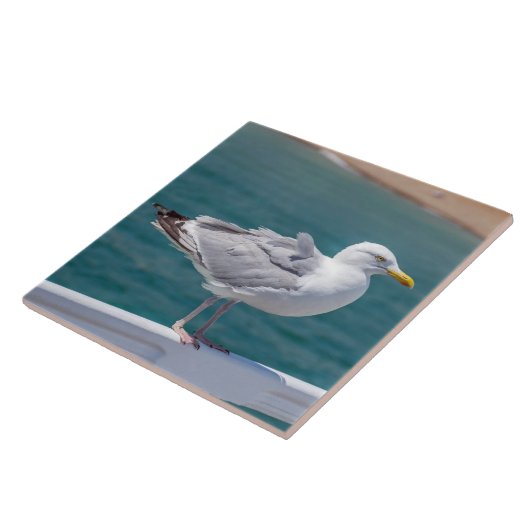 手すりの上のカモメ表示セラミックタイル タイル (側面)