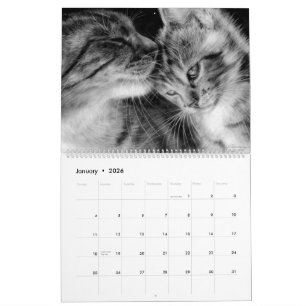 手で描く猫たち – ワイルドな猫科の動物 カレンダー