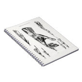 手と手首の古い医術 ノートブック (右側)