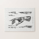 手と手首の古い解剖学芸術の筋肉 ジグソーパズル (横)