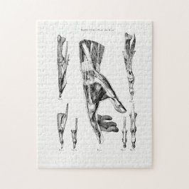 手と手首の古い解剖学芸術の筋肉 ジグソーパズル