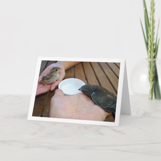 手にスウィフトバードとスパローバード カード (正面)