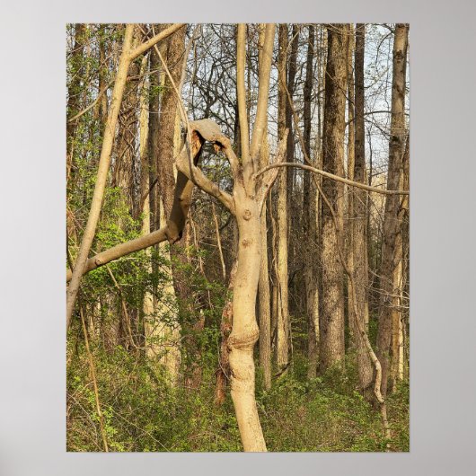 手に似たツリーポスター ポスター (正面)