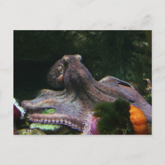 手に入れる8つの方法 ポストカード