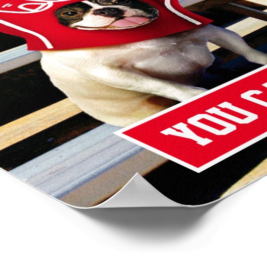 手に泡を入れた犬 ポスター (角)