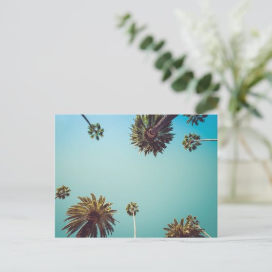 手のひらの下に、写真旅行はがき ポストカード (スタンド正面)