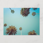 手のひらの下に、写真旅行はがき ポストカード (正面)