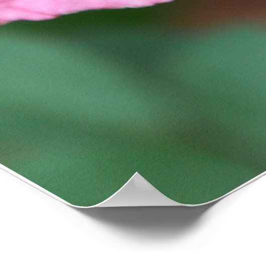 手のひら46:1バラ勇気付けられるポスター ポスター (角)