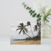 手のひら ポストカード (スタンド正面)