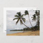 手のひら ポストカード (正面/裏面)