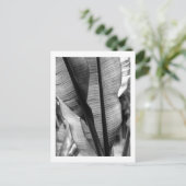 手のひら(白黒) ポストカード (スタンド正面)