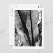 手のひら(白黒) ポストカード (正面/裏面)