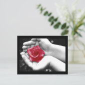 手のバラ2 ポストカード (スタンド正面)