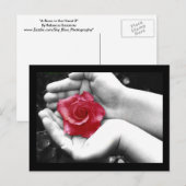 手のバラ2 ポストカード (正面/裏面)