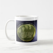 手のペトリ皿の細菌 コーヒーマグカップ (左)