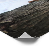 手のポスターを洗う ポスター (角)