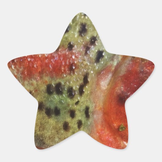 手の中のトラウト 星シール (正面)