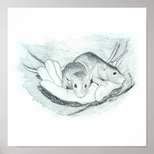 手の中のネズミが2匹 ポスター (正面)