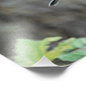 手の中の鳥 フォトプリント            (角)