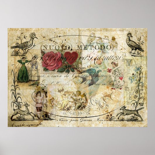 手の中の鳥 ポスター (正面)