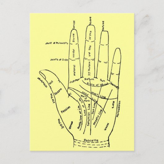 手の図 ポストカード (正面)