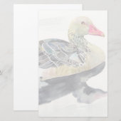 手の引くことの水彩画の鳥、アヒル 便箋 (正面/裏面)