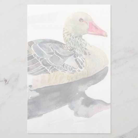手の引くことの水彩画の鳥、アヒル 便箋 (正面)