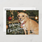 手の教養がある休日カード シーズンポストカード (正面/裏面)