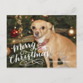 手の教養がある休日カード シーズンポストカード (正面)