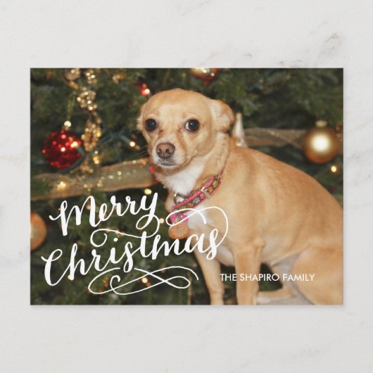 手の教養がある休日カード シーズンポストカード (正面)