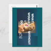 手の文字に抱かれた子猫 ポストカード (正面/裏面)