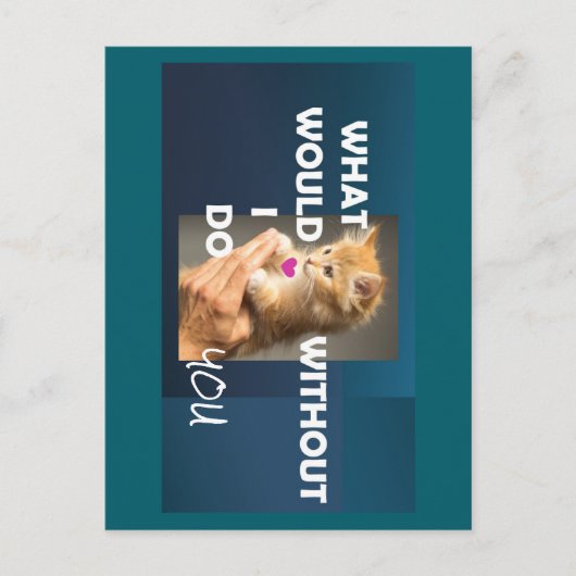 手の文字に抱かれた子猫 ポストカード (正面)