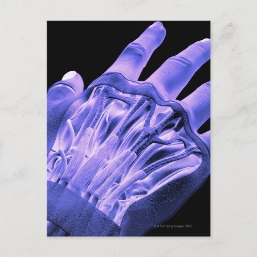 手の筋肉 ポストカード (正面)