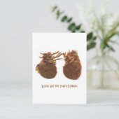 手を伸ばす ポストカード (スタンド正面)