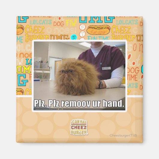 手を取り除く マグネット (正面)