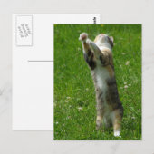 手を叩いて足に印を付ける ポストカード (正面/裏面)