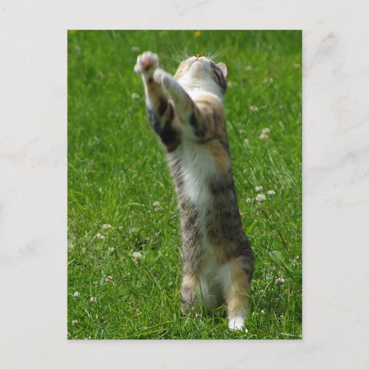 手を叩いて足に印を付ける ポストカード (正面)