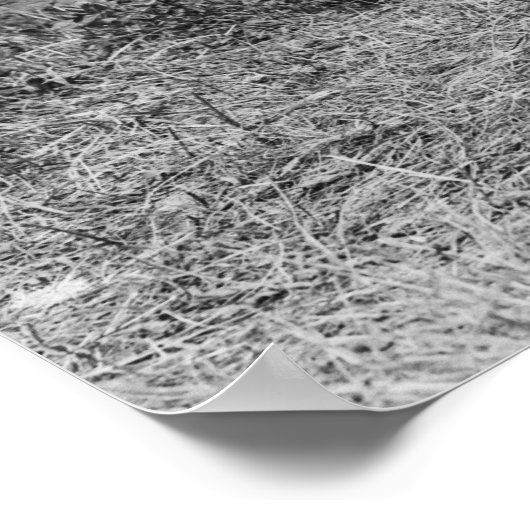 [手を固定]: 1908 ポスター (角)