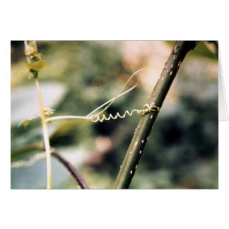 手を差し伸べること….