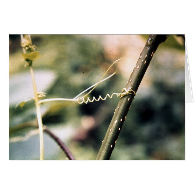 手を差し伸べること…. (正面横)