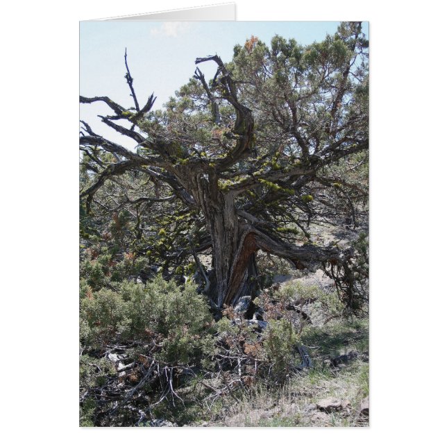 手を差し伸べること (正面)