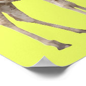 手を差し伸べる ポスター (角)