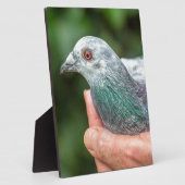 手を持って外にレース鳩.JPG フォトプラーク (側面)