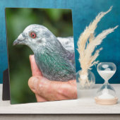 手を持って外にレース鳩.JPG フォトプラーク (側面)