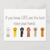 手を挙げて猫は最高のおもしろい引用文 ポストカード (正面)