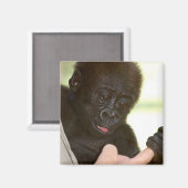 手を握ってもいい?マグネット マグネット (正面/裏面)