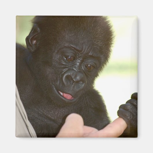 手を握ってもいい?マグネット マグネット (正面)