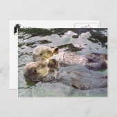 手を握る海のカワウソ ポストカード (正面/裏面)
