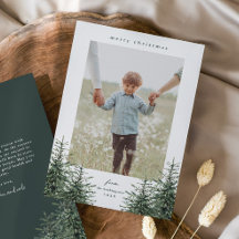 手エレガント松色彩の鮮やか木写真クリスマスホール