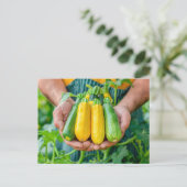 手カラフルにズッキーニ品種 シーズンポストカード (スタンド正面)